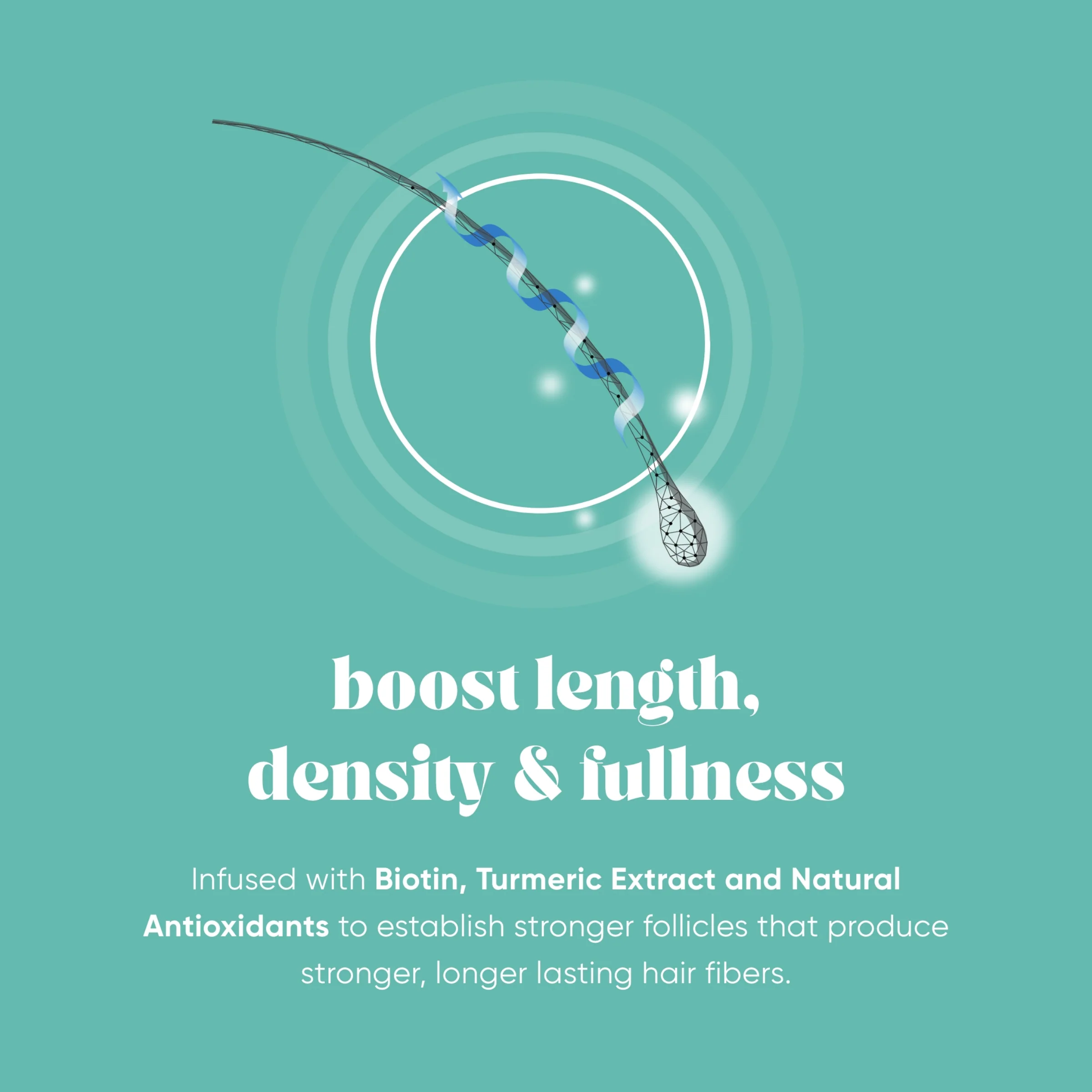 Boost Fullness Gift Set - Image 3