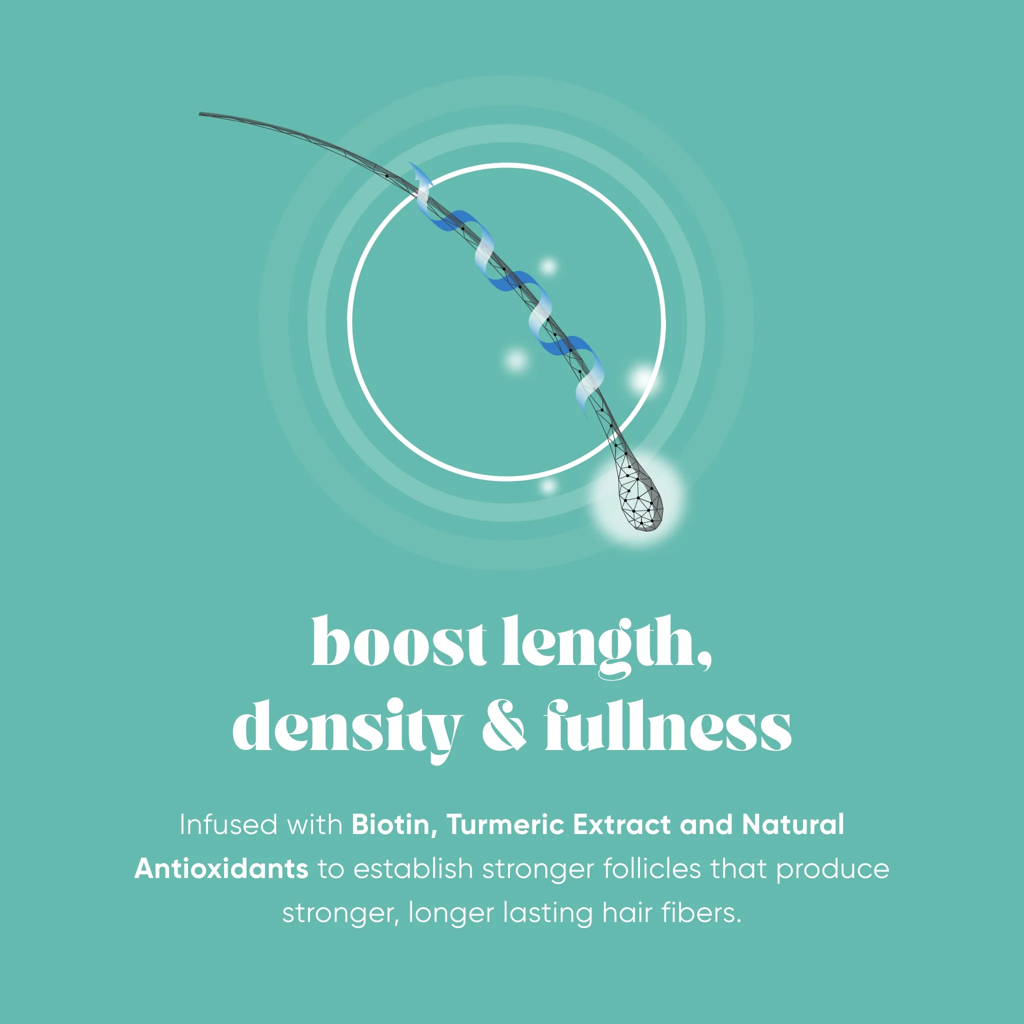Length Booster Set - Image 10