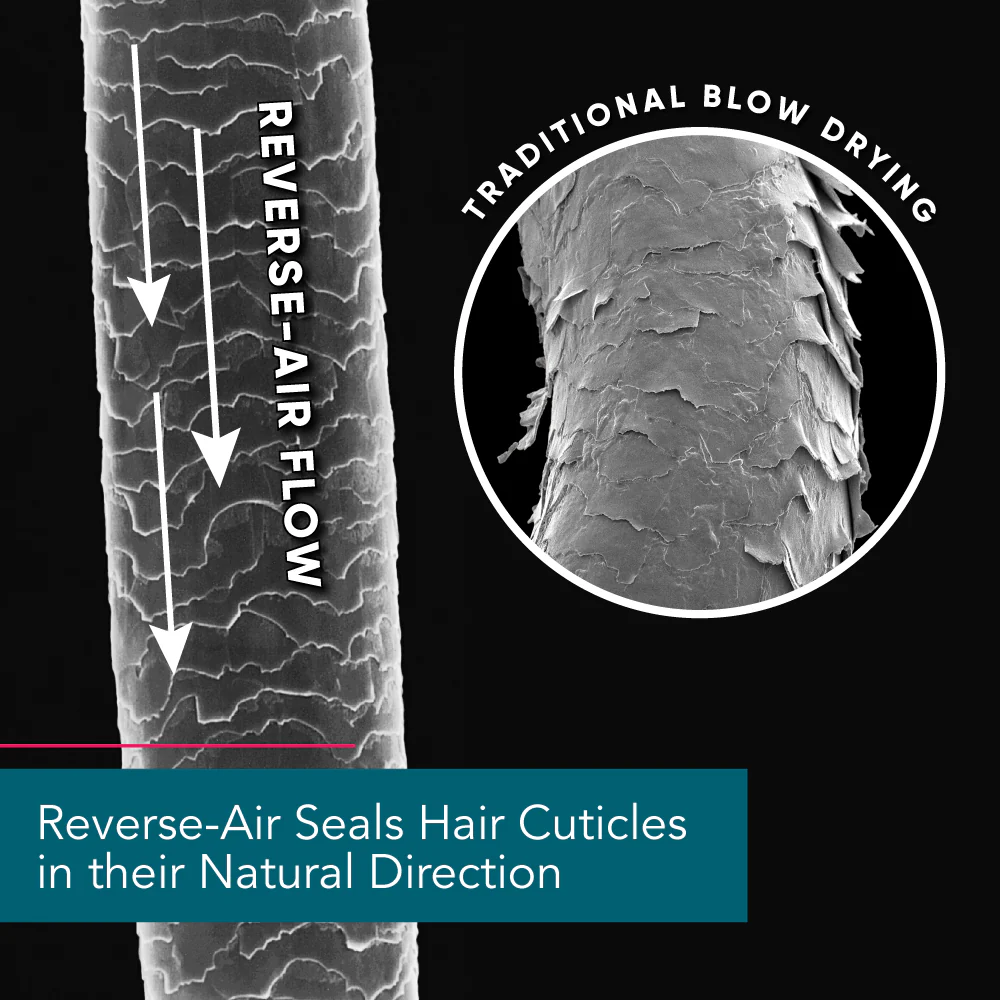 New Reverse-Air Dryer - Image 7